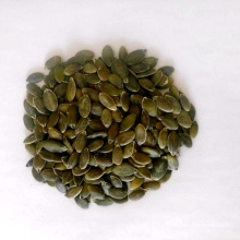 2017 Inner Mongolia supply pumpkin seeds kernels shine skin GWS